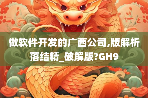 做软件开发的广西公司,版解析落结精_破解版?GH9