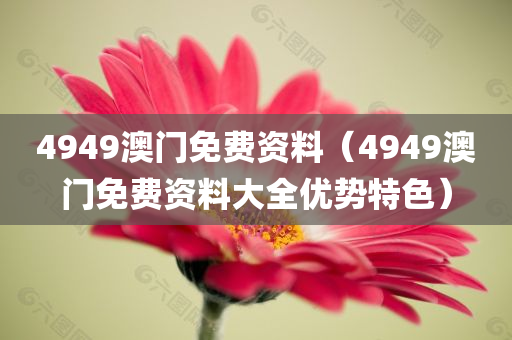 4949澳门免费资料（4949澳门免费资料大全优势特色）