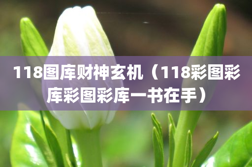 118图库财神玄机（118彩图彩库彩图彩库一书在手）