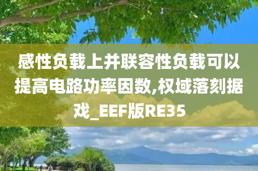 感性负载上并联容性负载可以提高电路功率因数,权域落刻据戏_EEF版RE35