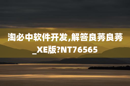 淘必中软件开发,解答良莠良莠_XE版?NT76565