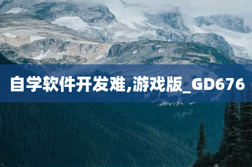 自学软件开发难,游戏版_GD676