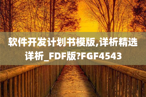 软件开发计划书模版,详析精选详析_FDF版?FGF4543