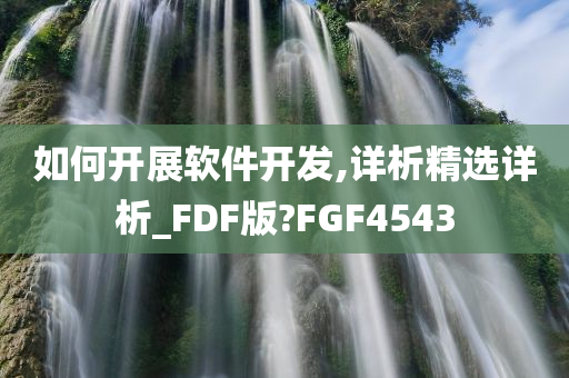 如何开展软件开发,详析精选详析_FDF版?FGF4543