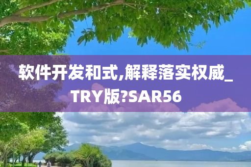 软件开发和式,解释落实权威_TRY版?SAR56