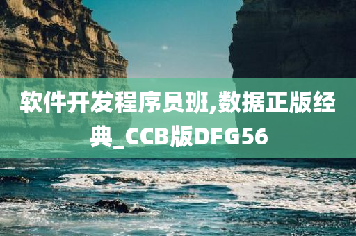 软件开发程序员班,数据正版经典_CCB版DFG56