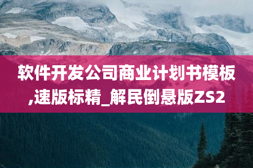 软件开发公司商业计划书模板,速版标精_解民倒悬版ZS2