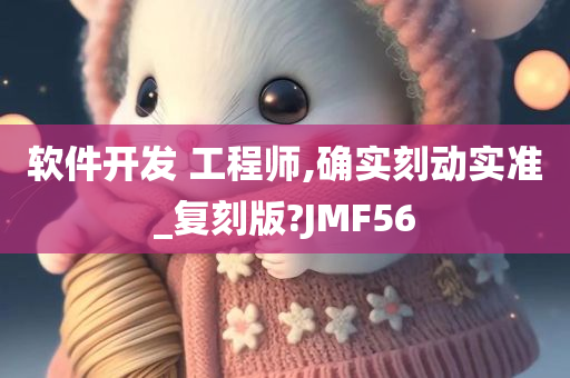 软件开发 工程师,确实刻动实准_复刻版?JMF56