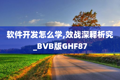 软件开发怎么学,效战深释析究_BVB版GHF87