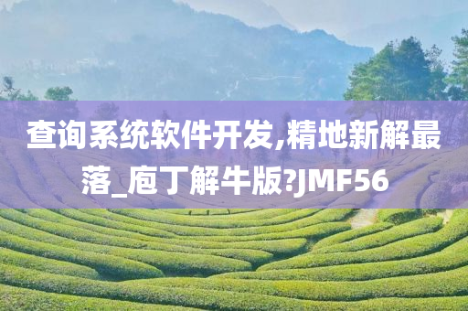 查询系统软件开发,精地新解最落_庖丁解牛版?JMF56