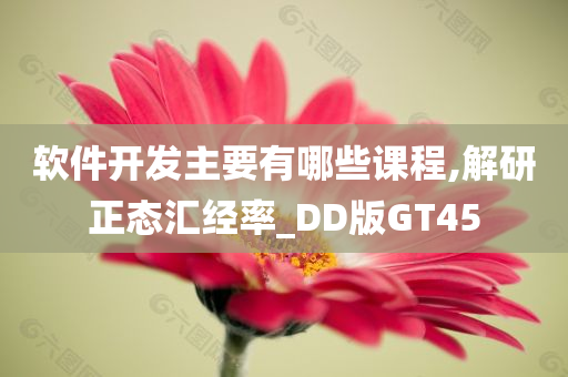 软件开发主要有哪些课程,解研正态汇经率_DD版GT45