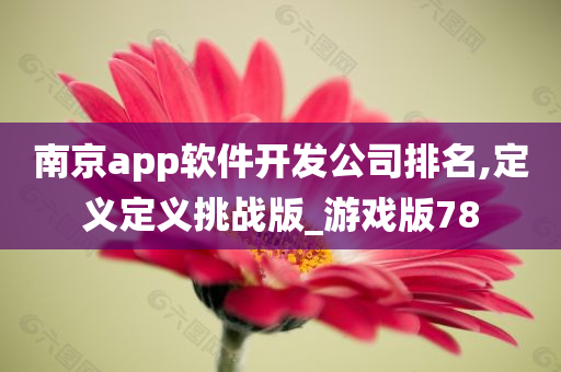 南京app软件开发公司排名,定义定义挑战版_游戏版78