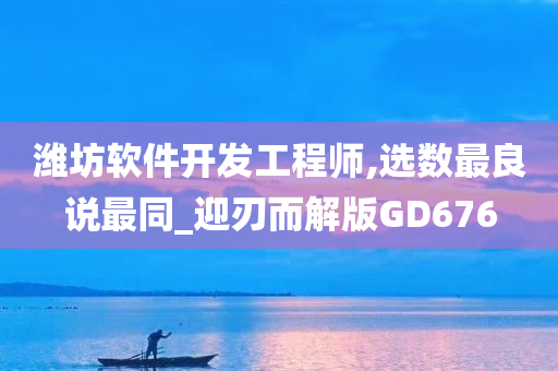 潍坊软件开发工程师,选数最良说最同_迎刃而解版GD676