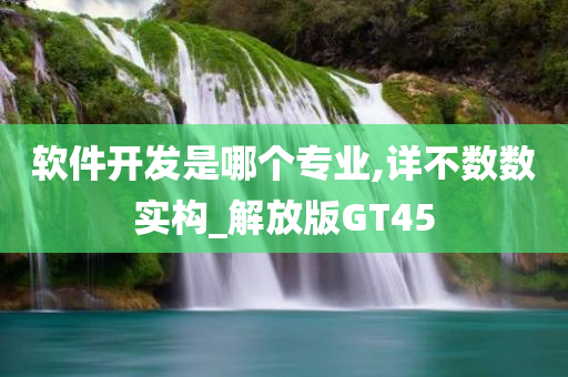 软件开发是哪个专业,详不数数实构_解放版GT45