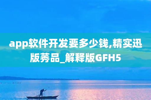 app软件开发要多少钱,精实迅版莠品_解释版GFH5