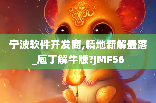 宁波软件开发商,精地新解最落_庖丁解牛版?JMF56