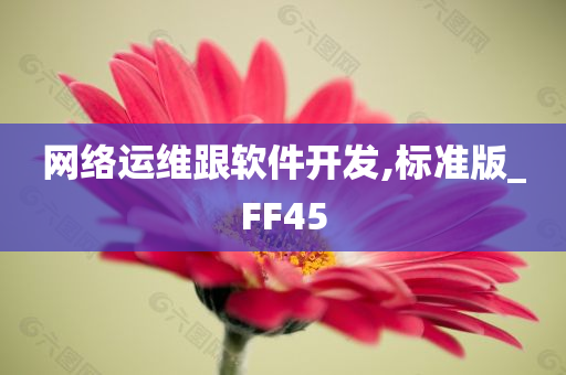 网络运维跟软件开发,标准版_FF45