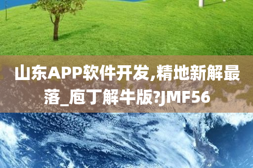 山东APP软件开发,精地新解最落_庖丁解牛版?JMF56