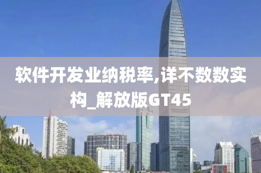 软件开发业纳税率,详不数数实构_解放版GT45