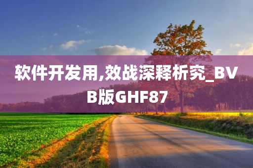 软件开发用,效战深释析究_BVB版GHF87