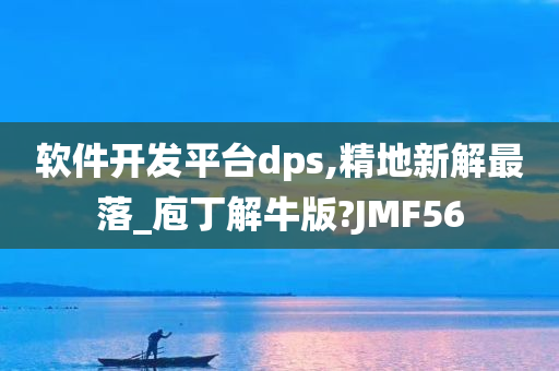 软件开发平台dps,精地新解最落_庖丁解牛版?JMF56