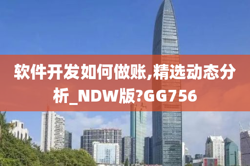 软件开发如何做账,精选动态分析_NDW版?GG756