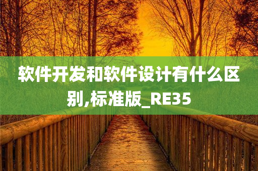 软件开发和软件设计有什么区别,标准版_RE35