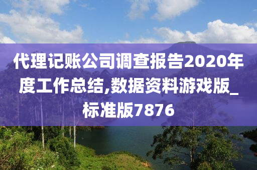 代理记账公司调查报告2020年度工作总结,数据资料游戏版_标准版7876