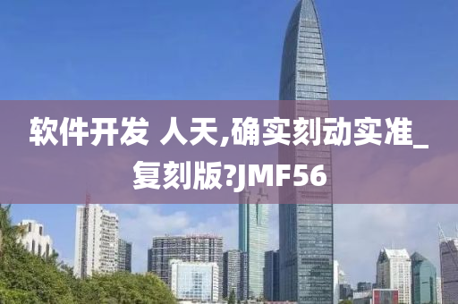 软件开发 人天,确实刻动实准_复刻版?JMF56