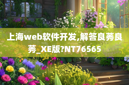 上海web软件开发,解答良莠良莠_XE版?NT76565