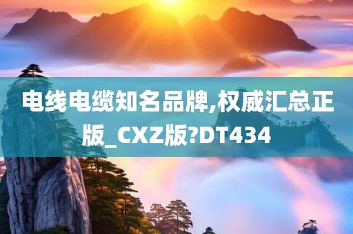 电线电缆知名品牌,权威汇总正版_CXZ版?DT434