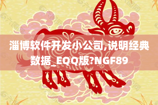 淄博软件开发小公司,说明经典数据_EQQ版?NGF89