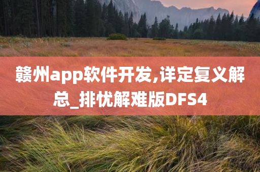 赣州app软件开发,详定复义解总_排忧解难版DFS4