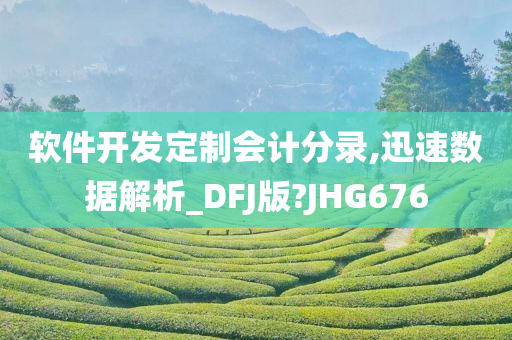 软件开发定制会计分录,迅速数据解析_DFJ版?JHG676