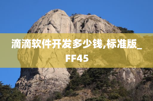 滴滴软件开发多少钱,标准版_FF45