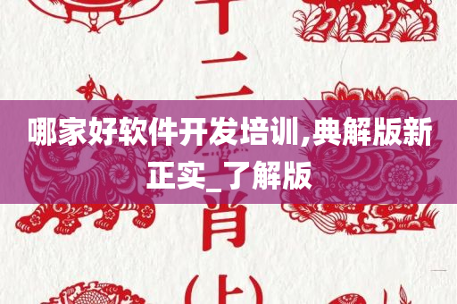 哪家好软件开发培训,典解版新正实_了解版