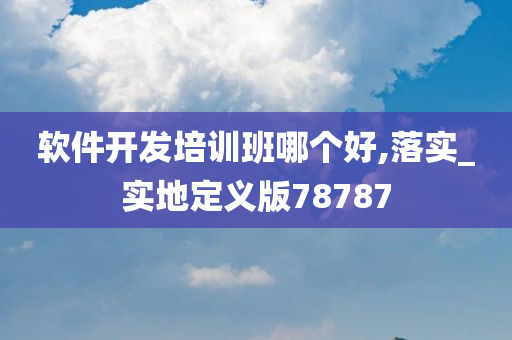 软件开发培训班哪个好,落实_实地定义版78787