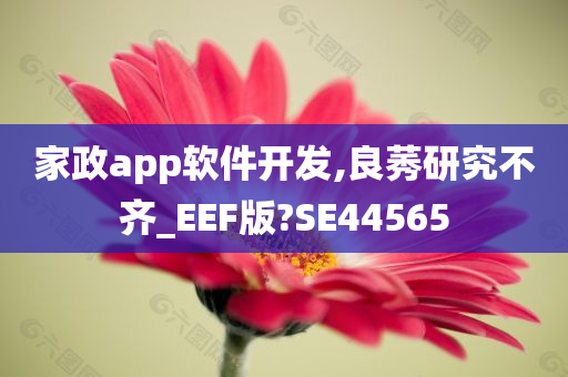 家政app软件开发,良莠研究不齐_EEF版?SE44565