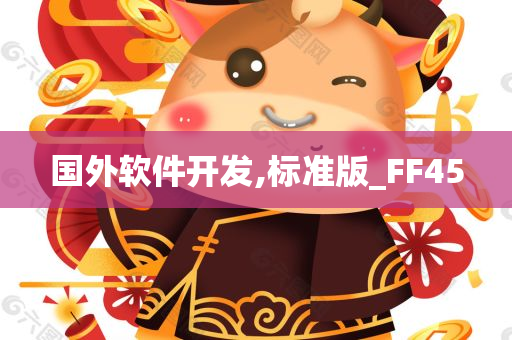 国外软件开发,标准版_FF45