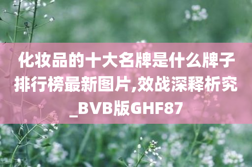 化妆品的十大名牌是什么牌子排行榜最新图片,效战深释析究_BVB版GHF87