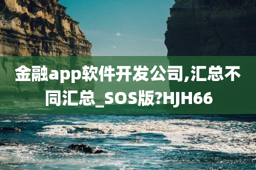 金融app软件开发公司,汇总不同汇总_SOS版?HJH66