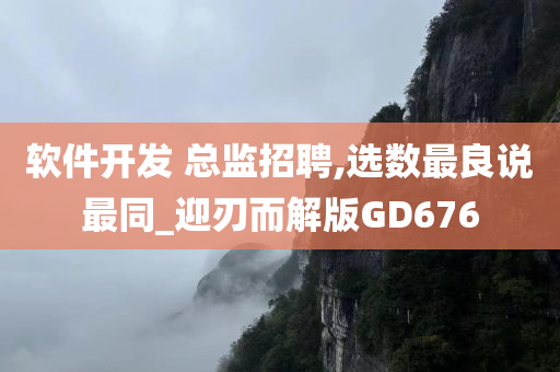 软件开发 总监招聘,选数最良说最同_迎刃而解版GD676