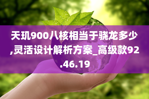 天玑900八核相当于骁龙多少,灵活设计解析方案_高级款92.46.19