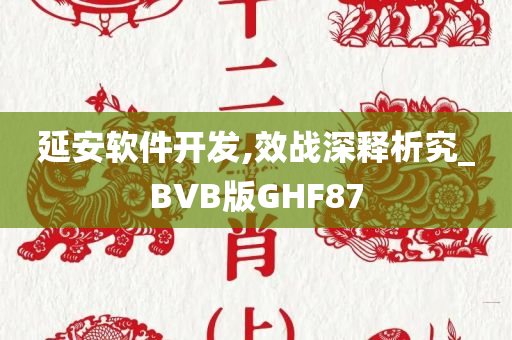 延安软件开发,效战深释析究_BVB版GHF87