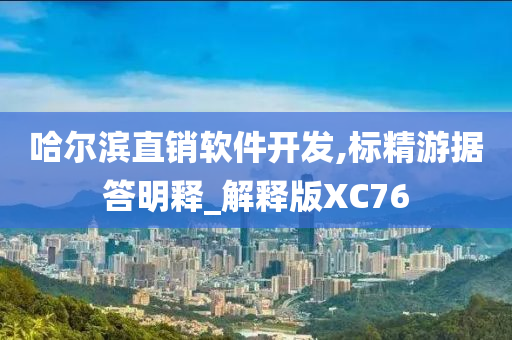 哈尔滨直销软件开发,标精游据答明释_解释版XC76