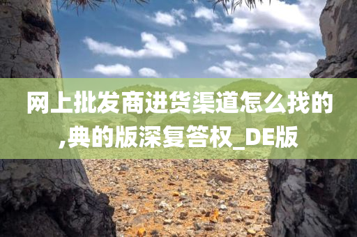 网上批发商进货渠道怎么找的,典的版深复答权_DE版