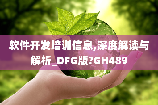 软件开发培训信息,深度解读与解析_DFG版?GH489