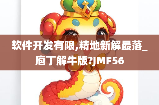 软件开发有限,精地新解最落_庖丁解牛版?JMF56