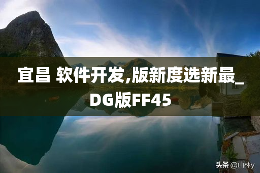 宜昌 软件开发,版新度选新最_DG版FF45