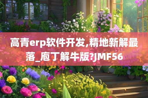 高青erp软件开发,精地新解最落_庖丁解牛版?JMF56